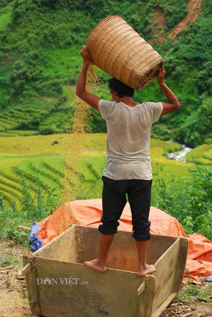 Thời điểm đẹp nhất để đến với Mường Lò là khoảng từ giữa tháng Chín đổ về giữa tháng Mười, khi khắp nơi là thu hoạch, no ấm.