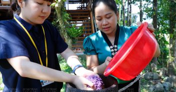 Khám phá Xôi ngũ sắc – Tinh hoa đất trời Mường Lò xoi-ngu-sac-tinh-hoa-muong-lo (11)