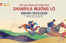 shanrilamuonglo-le-hoi-dua-ngua-nghialo-city (1)